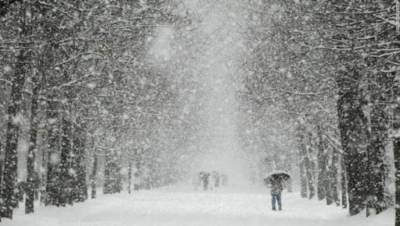 Львовщину обильно укроет снегом: прогноз погоды на 20 февраля