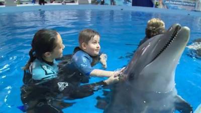 Видео из Сети. Плавать с дельфинами: губернатор исполнил мечту юного ямальца