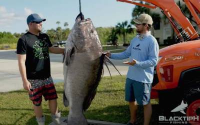 Рыболовы поймали в Мексиканском заливе окуня с человеческий рост (Фото, Видео)