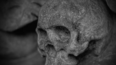 Более 80 скелетов британских солдат обнаружили в захоронении XVIII века