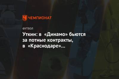 Уткин: в «Динамо» бьются за потные контракты, в «Краснодаре» эта мотивация отсутствует