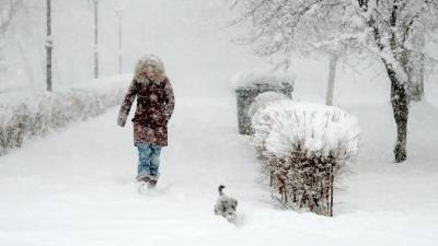 В Керчи и Крыму из-за снегопада вводится режим ЧС