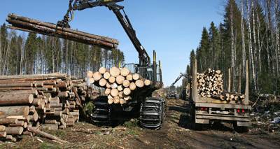 Экспортирует лес, а импортирует машины: с кем торговала Латвия в 2020 году