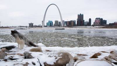 В США из-за снежной бури погибли около 50 человек