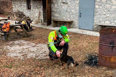 Турист с переломом пропал в горах на неделю и выжил благодаря собаке