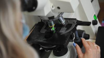 Физик из Германии рассказал, почему коронавирус мог возникнуть в лаборатории