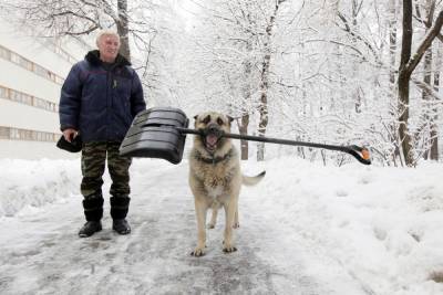 Метеоролог предупредил об угрозе глобального похолодания в России