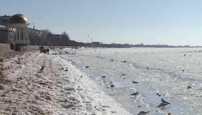 Приятный намек на весну: погода 20 февраля порадует украинцев "плюсами" – прогноз Диденко