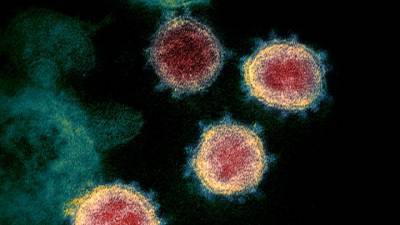 Ученый доказал искусственное происхождение коронавируса