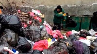 Вице-премьеры Абрамченко и Новак выступили против мусоросжигающих заводов