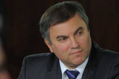 Володин раскритиковал действия властей Украины в отношении оппозиции