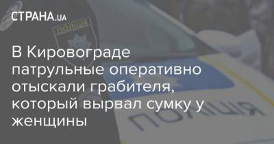 В Кировограде патрульные оперативно отыскали грабителя, который вырвал сумку у женщины
