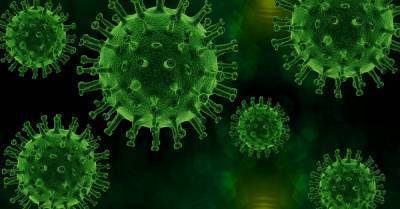 Эпидемиолог считает, что коронавирус в России может остаться навсегда