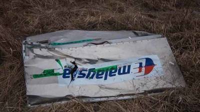 Следователей по делу о крушении MH17 обвинили в утаивании обломков лайнера