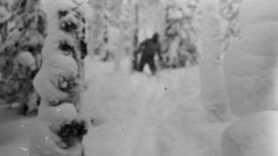 Американцы выступили против законопроекта об охоте на снежного человека