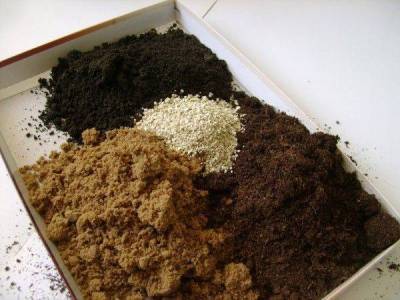 Как правильно приготовить почвогрунт для выращивания рассады своими руками: лучшие рецепты почвосмесей