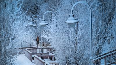 В Москве мягкая погода сменится трескучими морозами