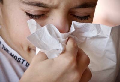Учёные предупредили о возможной эпидемии гриппа следующей зимой