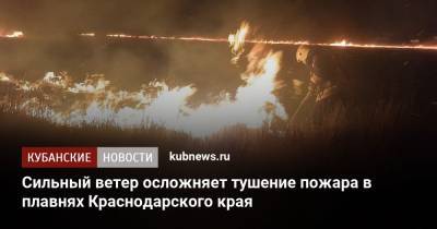 Сильный ветер осложняет тушение пожара в плавнях Краснодарского края