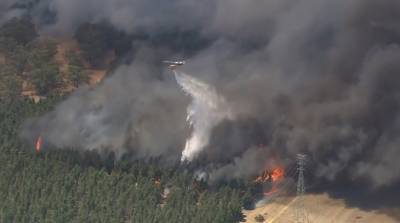 Пожар на западе Австралии уничтожил более 6 тыс. га леса