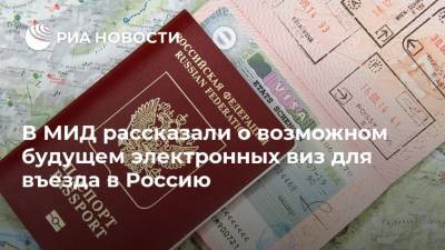 В МИД рассказали о возможном будущем электронных виз для въезда в Россию