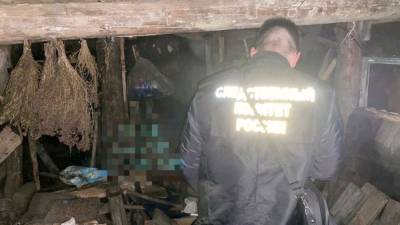 Жители Саратовской области похитили приятеля из-за долгов и заперли в погребе