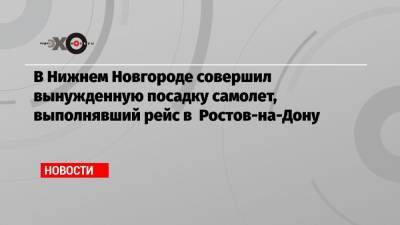 В Нижнем Новгороде совершил вынужденную посадку самолет, выполнявший рейс в Ростов-на-Дону