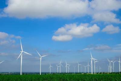 Ветряные электростанции: новая технология, позволяющая сократить смертность птиц и мира
