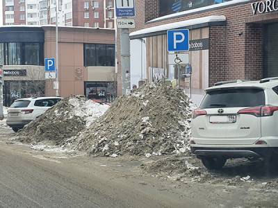 "Много снега хорошо для урожая": Орлов рассказал о плюсах плохой уборки екатеринбургских улиц