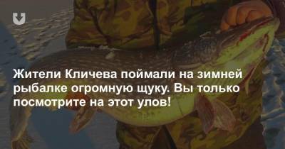 Жители Кличева поймали на зимней рыбалке огромную щуку. Вы только посмотрите на этот улов!