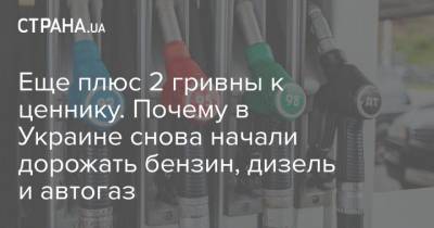 Еще плюс 2 гривны к ценнику. Почему в Украине снова начали дорожать бензин, дизель и автогаз