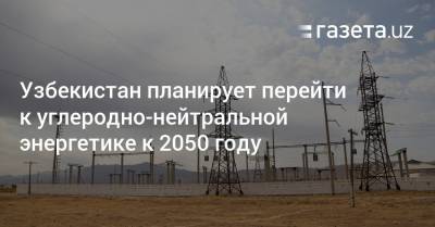 Узбекистан планирует перейти к углеродно-нейтральной энергетике к 2050 году
