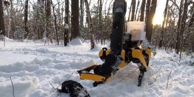 Boston Dynamics научил роботов убираться и рисовать