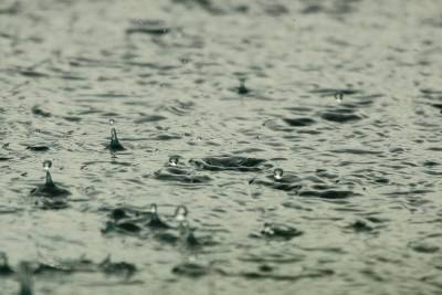 В Саратове из-за дождя закрыли катки
