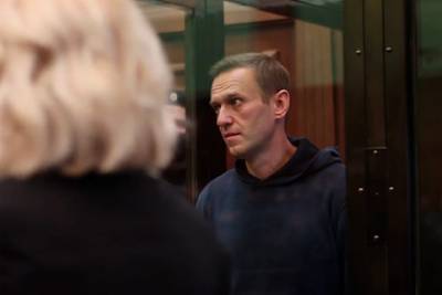 Навальный в суде назвал себя индивидуальным предпринимателем