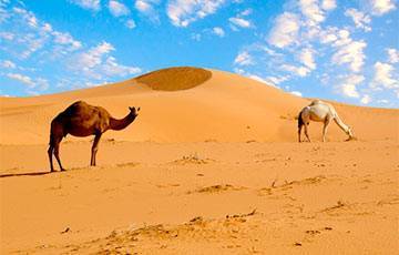 Ученые нашли причину появления крупнейшей пустыни на Земле
