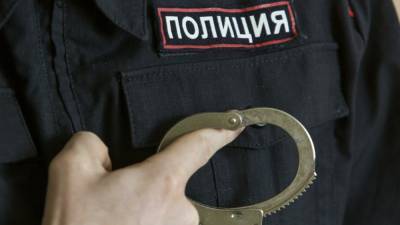 Полиция Красноярска поймала создателей порно со школьницами