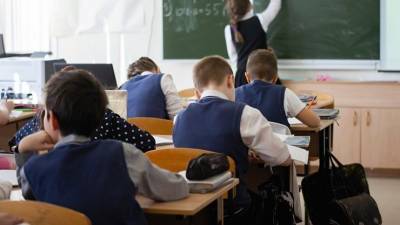 В российских школах введут должность советника по воспитанию