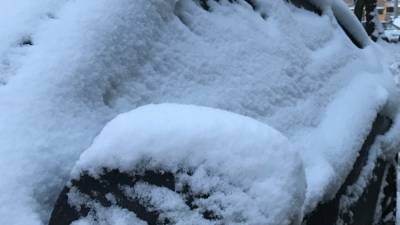 Останки женщины в синей куртке нашли в засыпанном снегом "Запорожце" во Всеволожске