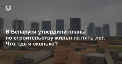 В Беларуси утвердили планы по строительству жилья на пять лет. Что, где и сколько?