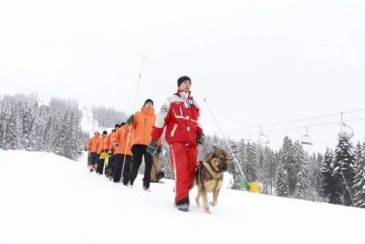 В Карпатах от холодной смерти спасли лыжницу и сноубордистку