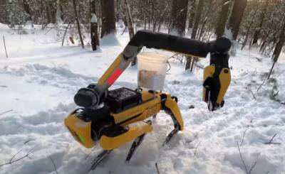 Boston Dynamics показала, как робот-пес рисует мелом и собирает мусор