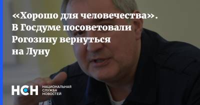 «Хорошо для человечества». В Госдуме посоветовали Рогозину вернуться на Луну