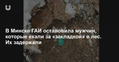 В Минске ГАИ остановила мужчин, которые ехали за «закладкой» в лес. Их задержали