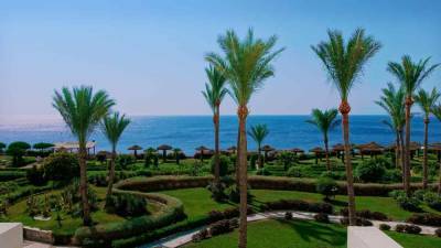 Вероятность запусков чартеров из России на курорты оценили в Египте