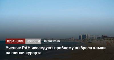 Ученые РАН исследуют проблему выброса камки на пляжи курорта