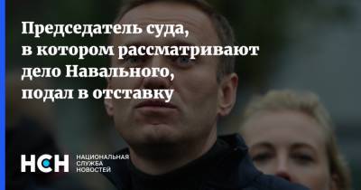 Председатель суда, в котором рассматривают дело Навального, подал в отставку