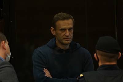 Суд над Навальным прервали на два часа
