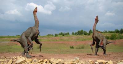 Четырехлетняя девочка нашла след динозавра возрастом 220 миллионов лет