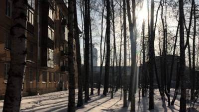 Солнце светило в Петербурге менее 10 часов в январе